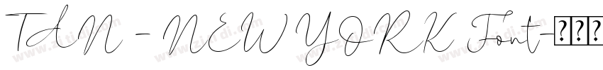 TAN – NEW YORK Font字体转换